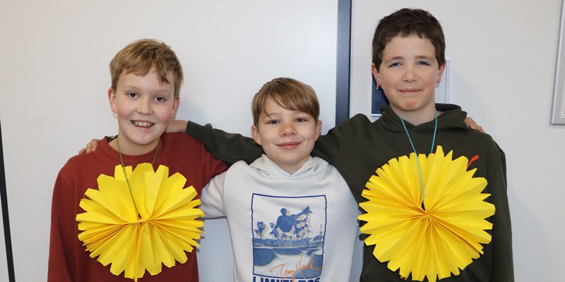 Vinaora Nivo Slider 3.x